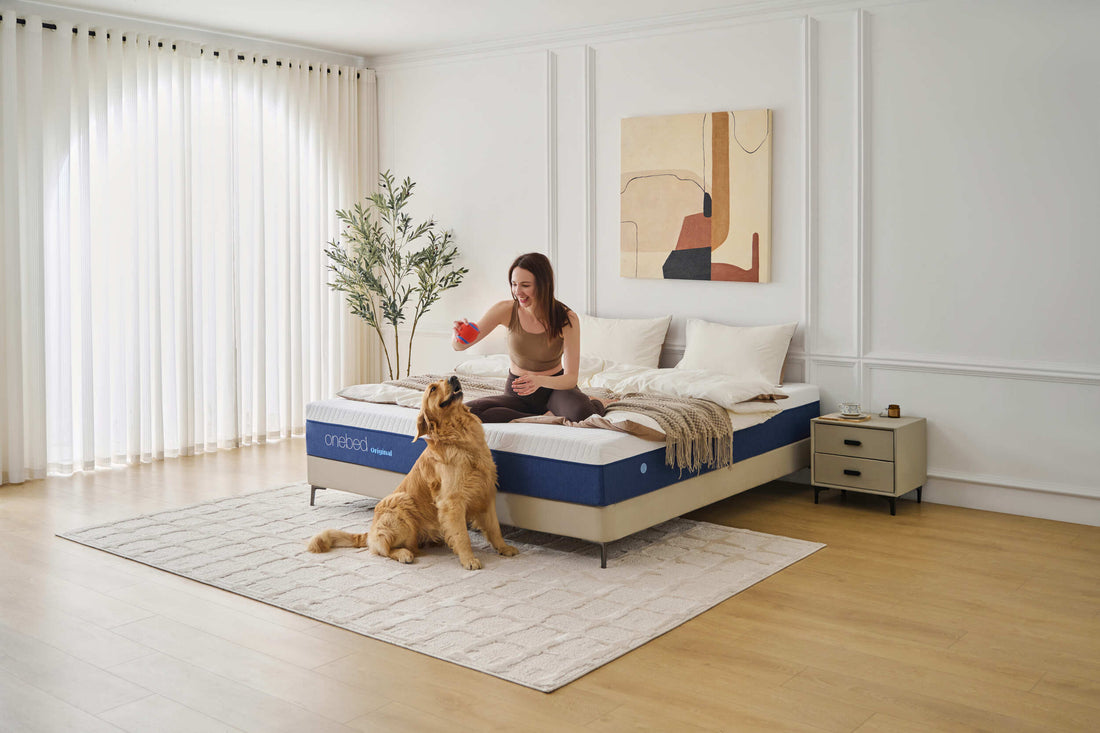 Hybrid vs Memory Foam Mattress: Which Should Choose?