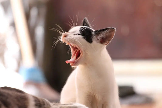 7 Unexpectedly Awesome Things About Insomnia Onebed Australia