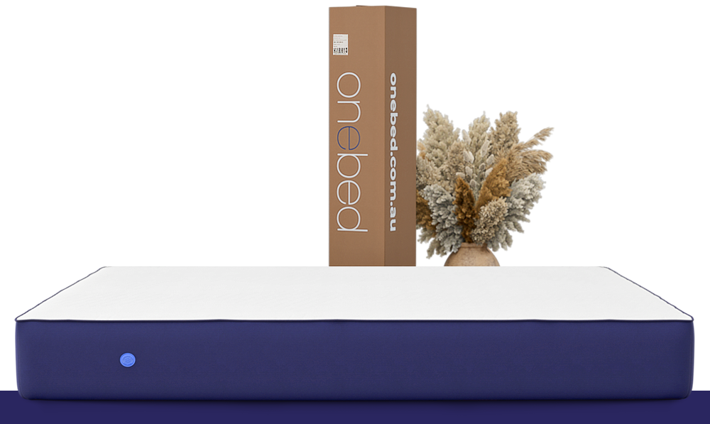 Fast and free shipping