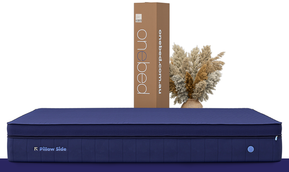 Fast and free shipping