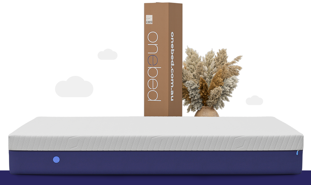 Fast and free shipping