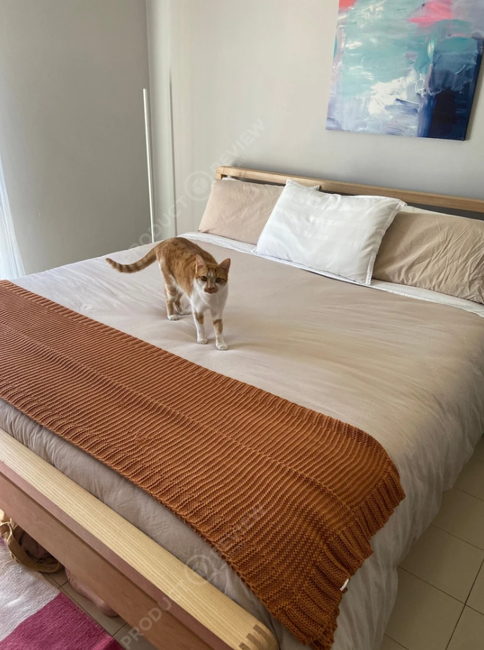 All the stars and more!