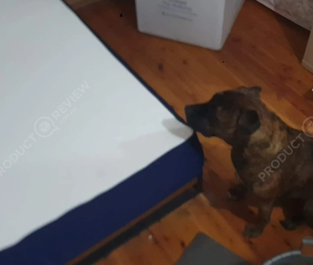 You have to try it for yourself!